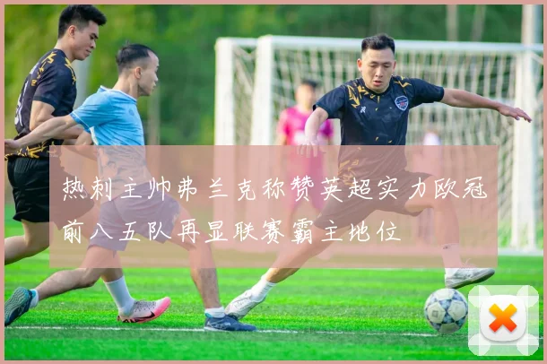 热刺主帅弗兰克称赞英超实力欧冠前八五队再显联赛霸主地位