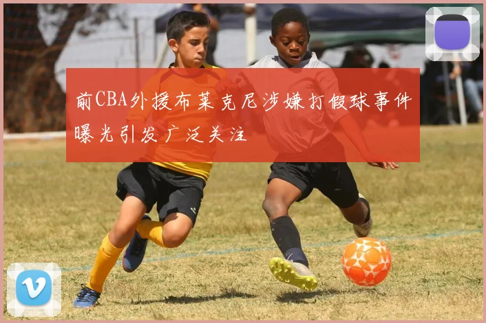 前CBA外援布莱克尼涉嫌打假球事件曝光引发广泛关注
