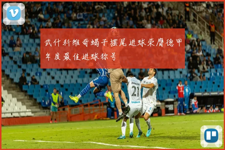 武什科维奇蝎子摆尾进球荣膺德甲年度最佳进球称号